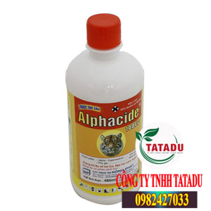 ALPHACIDE 100 EC - THUỐC TRỪ SÂU CHO CÂY HOA MAI - Kỹ Thuật Trồng Mai