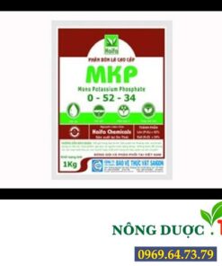 MKP 0-52-34 – PHÂN BÓN KÍCH THÍCH RA HOA CHO CÂY HOA MAI