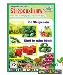 STREPCOXIN 18WP – THUỐC TRỪ NẤM CHO CÂY HOA MAI