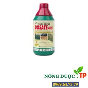 DOSATE 480SC – THUỐC TRỪ CỎ KHÔNG CHỌN LỌC DÀNH CHO CÂY HOA MAI