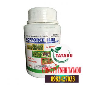 COPFORCE BLUE 51WP - THUỐC ĐẶC TRỊ NẤM BỆNH CHO CÂY HOA MAI - Kỹ Thuật ...