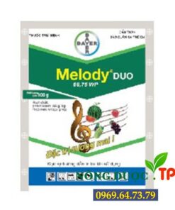 Melody® Duo 66,75WP – THUỐC ĐẶC TRỊ NẤM BỆNH CHO CÂY HOA MAI