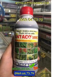 ANTACO 500EC – Thuốc Trừ Cỏ Diệt Mầm Trên Cây Ngô, Lạc, Mía, Hành