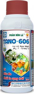 Tano606