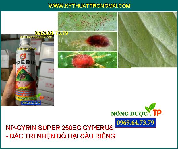 NP-CYRIN SUPER 250EC CYPERUS - Thuốc Đặc Trị Sâu Cuốn Lá, Sâu Khoang