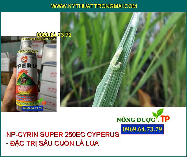 NP-CYRIN SUPER 250EC CYPERUS - Thuốc Đặc Trị Sâu Cuốn Lá, Sâu Khoang