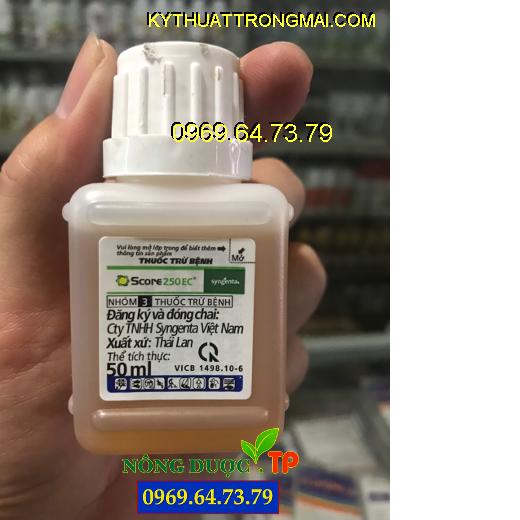 SCORE 250EC-Thuốc Đặc Trị Bệnh Mốc Sương, Bệnh Phấn Trắng - Kỹ Thuật ...