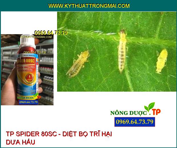 THUỐC ĐẶC TRỊ TP SPIDER 80SC - DIỆT NHỆN, UNG TRỨNG HẠI CÂY TRỒNG