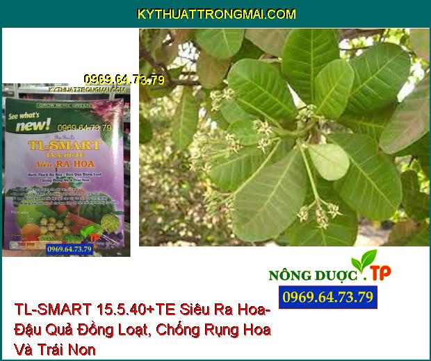 TL-SMART 15.5.40+TE Siêu Ra Hoa- Đậu Quả Đồng Loạt, Chống Rụng Hoa Và Trái Non