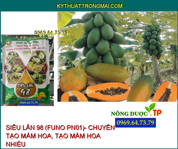 PHÂN BÓN SIÊU LÂN 98 (FUNO PN01)- CHUYÊN TẠO MẦM HOA, TẠO MẦM HOA NHIỀU, CHẮC CHẮN CHO CÂY ĂN TRÁI