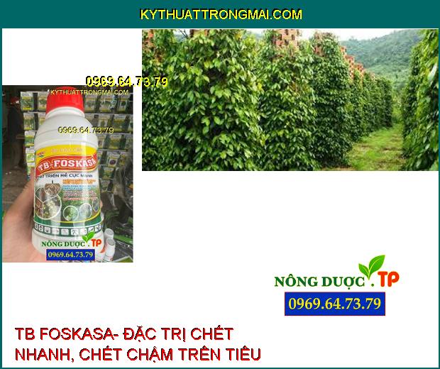 PHÂN BÓN CAO CẤP TB FOSKASA- ĐẶC TRỊ CHẾT NHANH, CHẾT CHẬM TRÊN TIÊU, THỐI THÂN, XÌ MỦ, GHẺ TRÁI TRÊN CÂY CÓ MÚI