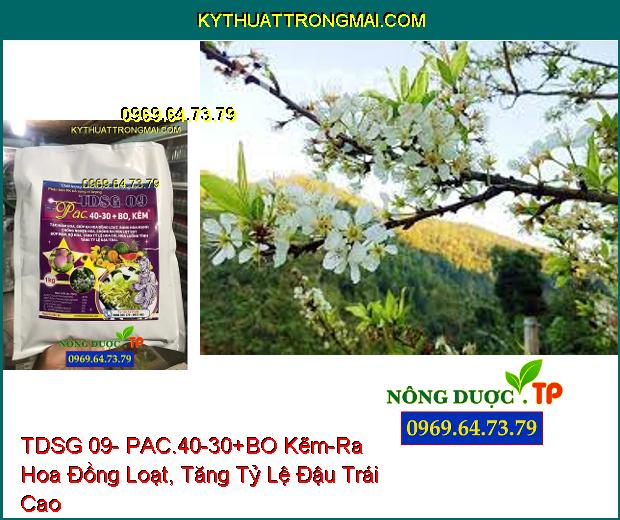 Phân Bón Vi Lượng TDSG 09- PAC.40-30+BO Kẽm- Ra Hoa Đồng Loạt, Tăng Tỷ Lệ Đậu Trái Cao
