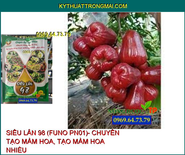 PHÂN BÓN SIÊU LÂN 98 (FUNO PN01)- CHUYÊN TẠO MẦM HOA, TẠO MẦM HOA NHIỀU, CHẮC CHẮN CHO CÂY ĂN TRÁI