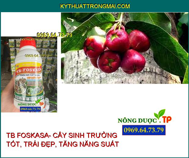 PHÂN BÓN CAO CẤP TB FOSKASA- ĐẶC TRỊ CHẾT NHANH, CHẾT CHẬM TRÊN TIÊU, THỐI THÂN, XÌ MỦ, GHẺ TRÁI TRÊN CÂY CÓ MÚI