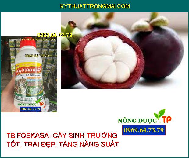 PHÂN BÓN CAO CẤP TB FOSKASA- ĐẶC TRỊ CHẾT NHANH, CHẾT CHẬM TRÊN TIÊU, THỐI THÂN, XÌ MỦ, GHẺ TRÁI TRÊN CÂY CÓ MÚI