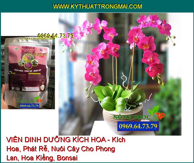 VIÊN DINH DƯỠNG KÍCH HOA - Kích Hoa, Phát Rễ, Nuôi Cây Cho Phong Lan, Hoa Kiểng, Bonsai