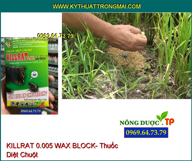 KILLRAT 0.005 WAX BLOCK- Thuốc Diệt Chuột