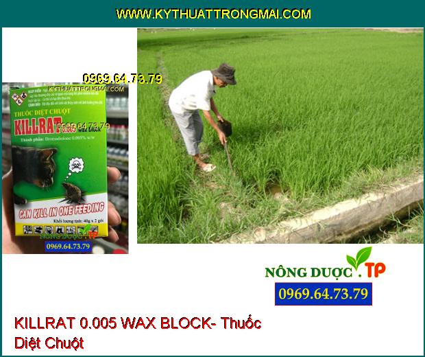 KILLRAT 0.005 WAX BLOCK- Thuốc Diệt Chuột