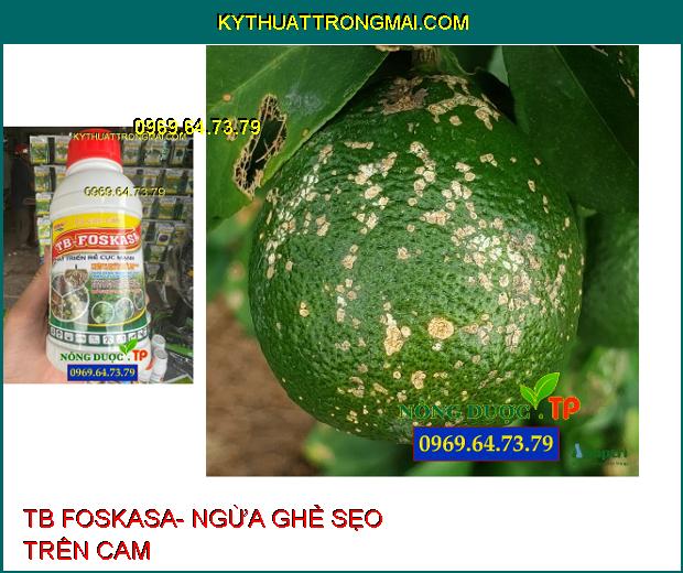 PHÂN BÓN CAO CẤP TB FOSKASA- ĐẶC TRỊ CHẾT NHANH, CHẾT CHẬM TRÊN TIÊU, THỐI THÂN, XÌ MỦ, GHẺ TRÁI TRÊN CÂY CÓ MÚI