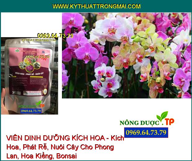 VIÊN DINH DƯỠNG KÍCH HOA - Kích Hoa, Phát Rễ, Nuôi Cây Cho Phong Lan, Hoa Kiểng, Bonsai