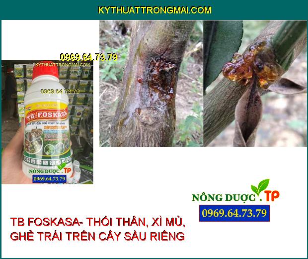 PHÂN BÓN CAO CẤP TB FOSKASA- ĐẶC TRỊ CHẾT NHANH, CHẾT CHẬM TRÊN TIÊU, THỐI THÂN, XÌ MỦ, GHẺ TRÁI TRÊN CÂY CÓ MÚI