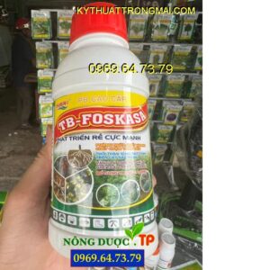 TB FOSKASA- Thuốc Đặc Trị Chết Nhanh, Chết Chậm Trên Tiêu, Thối Thân, Xì Mủ, Ghẻ Trái Cây Có Múi