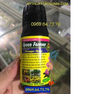 DREEN FOREVER STRONGER THRIVE- Phục Hồi Cây Suy Yếu, Còi Cọc, Chống Rụng Lá Cây