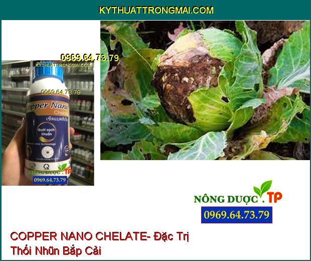 Quét Sạch Vi Khuẩn COPPER NANO CHELATE- Đặc Trị Thối Rễ, Ghẻ Lá, Ghẻ Trái