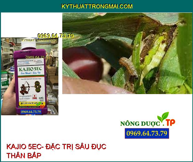 THUỐC TRỪ SÂU KAJIO 5EC- ĐẶC TRỊ SÂU ĐỤC THÂN, SÂU PHAO ĐỤC BẸ, SÂU CUỐN LÁ