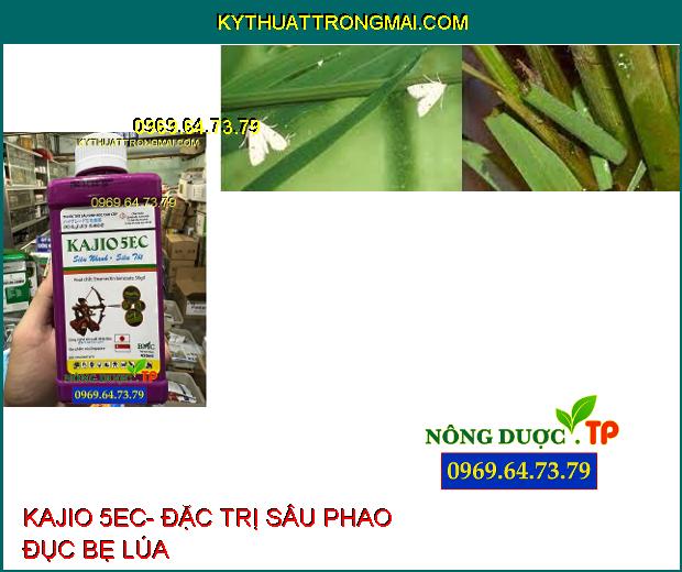 THUỐC TRỪ SÂU KAJIO 5EC- ĐẶC TRỊ SÂU ĐỤC THÂN, SÂU PHAO ĐỤC BẸ, SÂU CUỐN LÁ