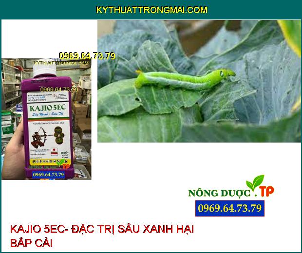 THUỐC TRỪ SÂU KAJIO 5EC- ĐẶC TRỊ SÂU ĐỤC THÂN, SÂU PHAO ĐỤC BẸ, SÂU CUỐN LÁ