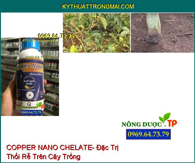 Quét Sạch Vi Khuẩn COPPER NANO CHELATE- Đặc Trị Thối Rễ, Ghẻ Lá, Ghẻ Trái