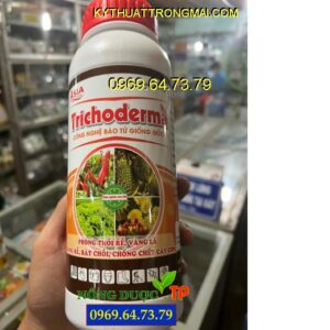 TRICHODERMA- Phòng Thối Trái, Vàng Lá, Chống Chết Cây Con