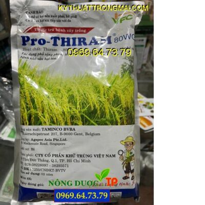 THUỐC TRỪ BỆNH PRO-THIRAM 80WG – PHÒNG TRỪ BỆNH THÁN THƯ,MỐC SƯƠNG, KHÔ VẰN, NỨT THÂN